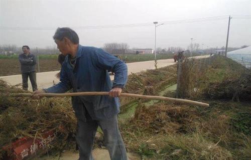 裕安区单王乡王拐村：整治农村人居环境 擦亮乡村振兴底色