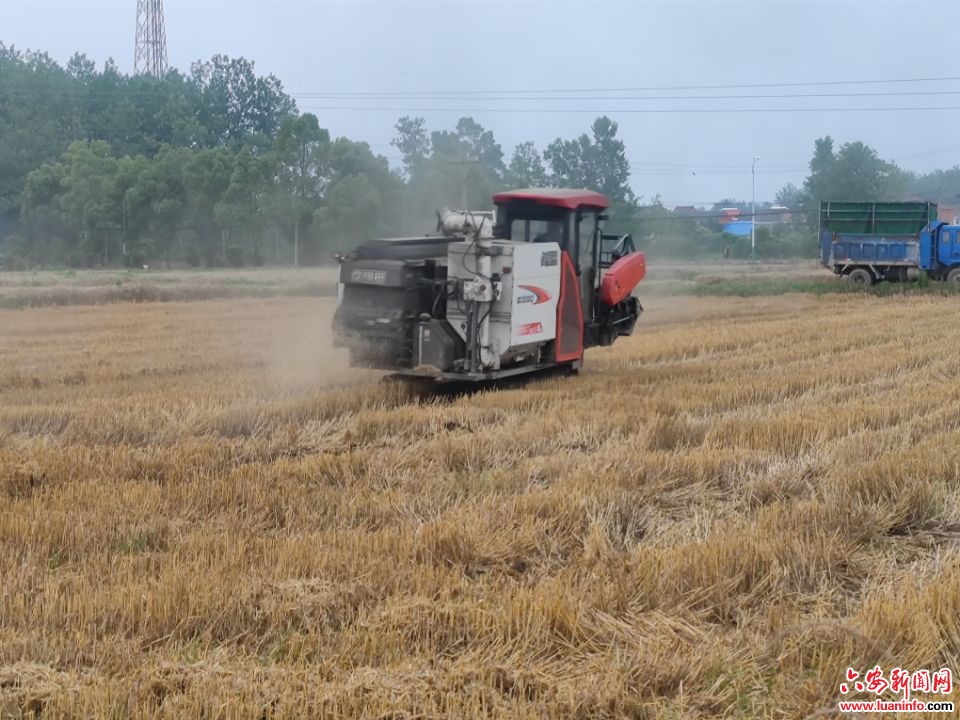 cbeb4ba1199c445fad672cc80b540d00.jpg cbeb4ba1199c445fad672cc80b540d00.jpg