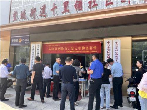 29aada659a263d18f38a03457b42089