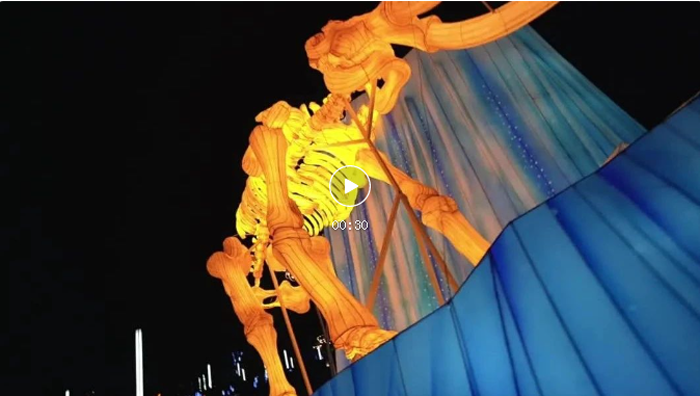 占地4.8万平，全国首个！玩穿越，只服大庆！