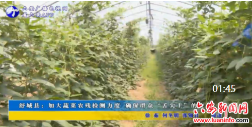 舒城县：加大蔬菜农残检测力度 确保群众“舌尖上”的安全