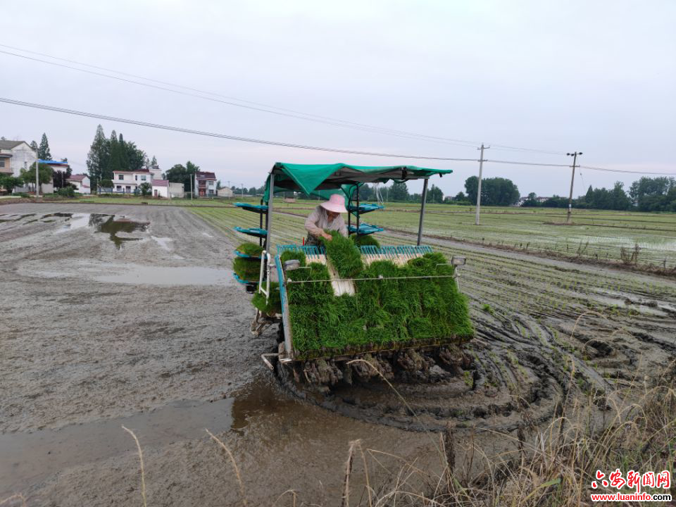 a501d8b79532494b98c1aa58d0b6b96e.jpg a501d8b79532494b98c1aa58d0b6b96e.jpg