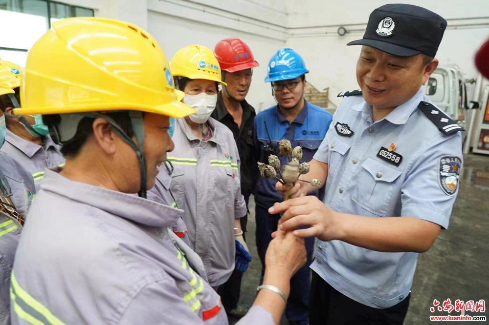 “6·26”国际禁毒日——裕安区集中开展毒品原植物销毁暨禁毒宣传教育主题活动