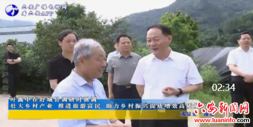 叶露中在舒城县调研时强调 壮大乡村产业 推进旅游富民 助力乡村振兴提质增效高质量发展