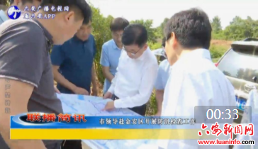 市领导赴金安区开展防汛检查工作