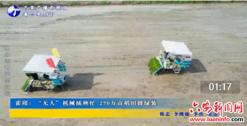 霍邱：“无人”机械插秧忙 270万亩稻田披绿装
