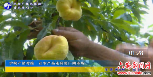 沪皖产销对接 让农产品走向更广阔市场