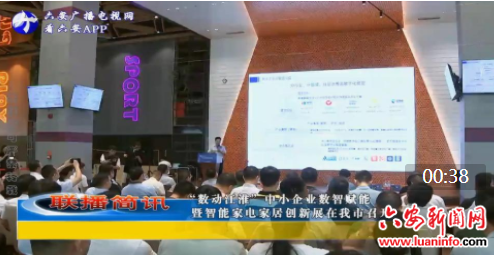 “数动江淮”中小企业数智赋能 暨智能家电家居创新展在我市召开