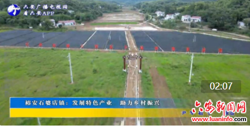 裕安石婆店镇：发展特色产业 助力乡村振兴