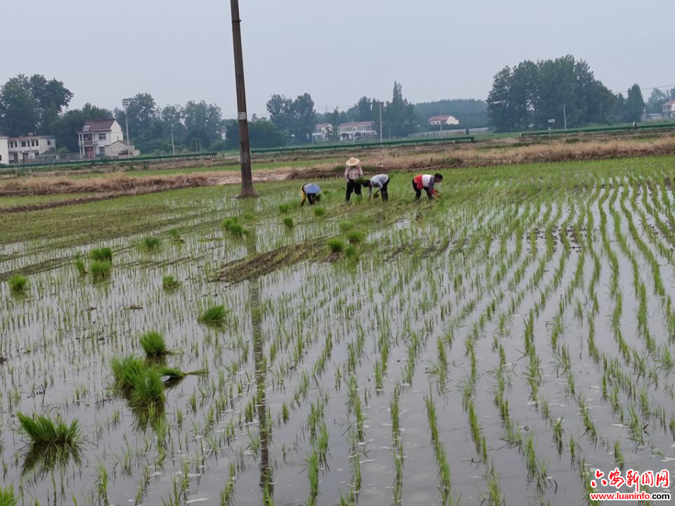 b26e813afc584e12b528cc7925fb5578.jpg b26e813afc584e12b528cc7925fb5578.jpg