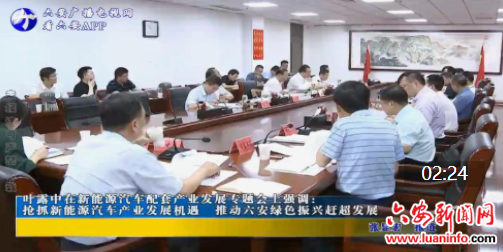 叶露中在新能源汽车配套产业发展专题会上强调： 抢抓新能源汽车产业发展机遇 推动六安绿色振兴赶超发展