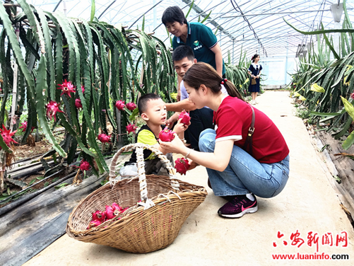 148037a17b294831a6d0915f9115e2eb.png 148037a17b294831a6d0915f9115e2eb.png