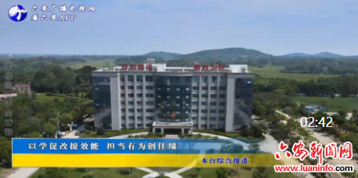  以学促改提效能 担当有为创佳绩