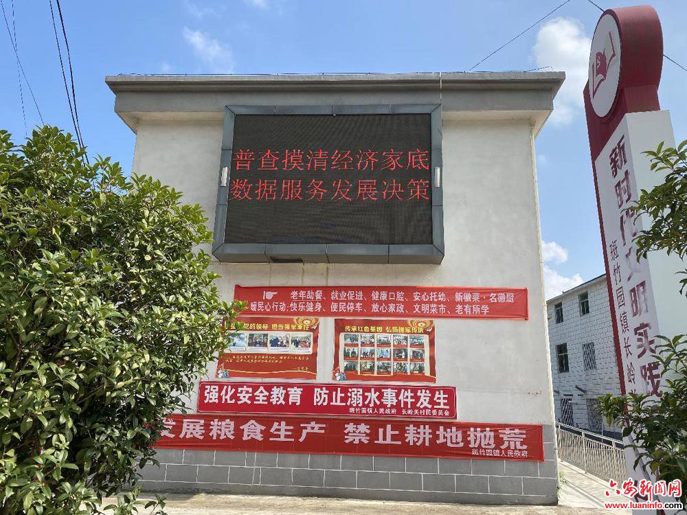 斑竹园镇：开展经济普查，服务高质量发展