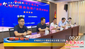 舒城强化中小微制造业企业数字化服务