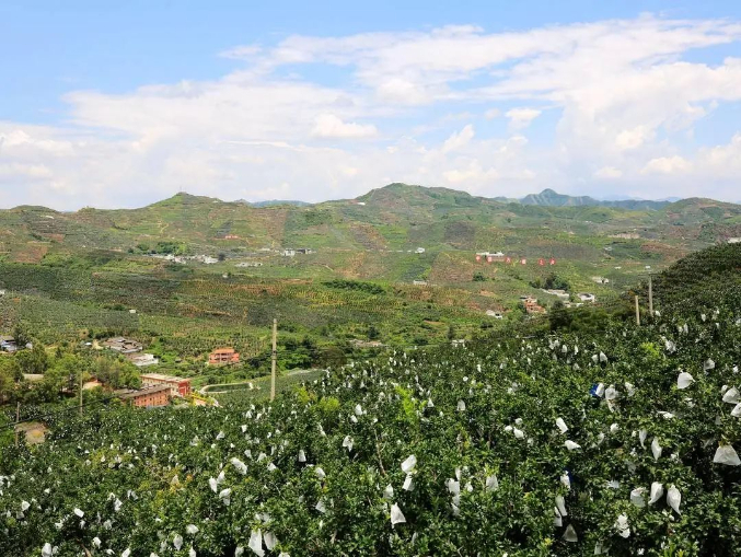 全是摆拍！当地回应：整改！下架！