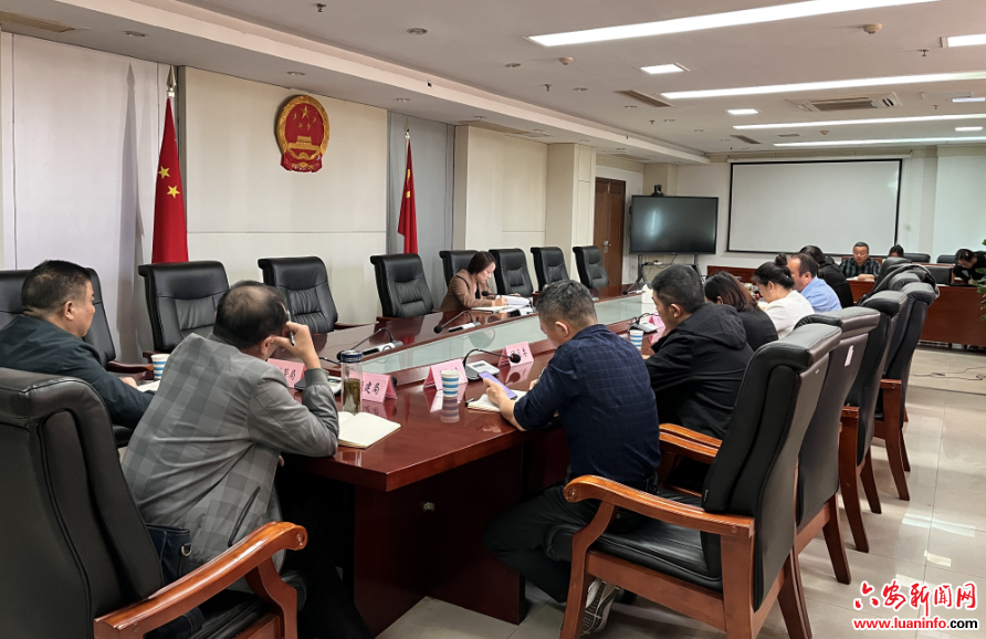 裕安区召开2023年创建全国文明城市第12次周调度会