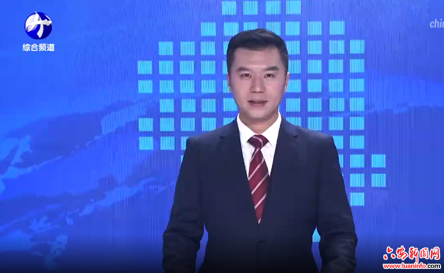 上海·六安卫生健康对口合作第一次联席会议召开