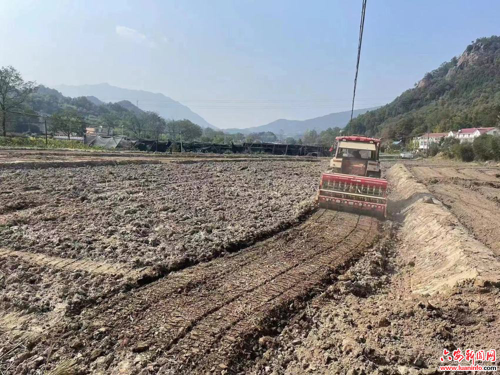 【我为群众办实事】深山71户老农发出求助后 