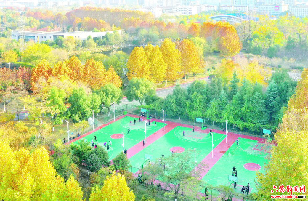 乐享运动 画里健身