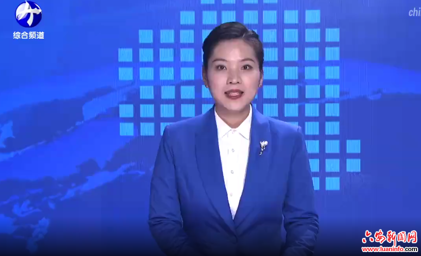  裕安：延伸产业链条 打造羽毛羽绒集散地