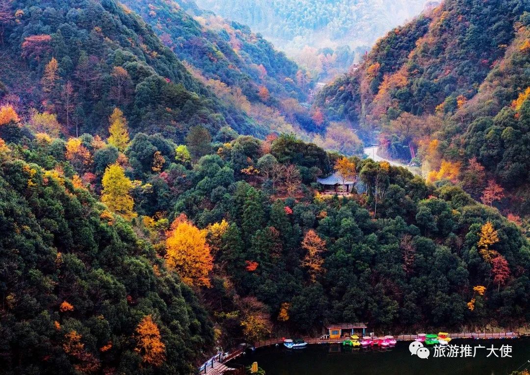 DJI_20231125074425_0024_D.jpg 图片