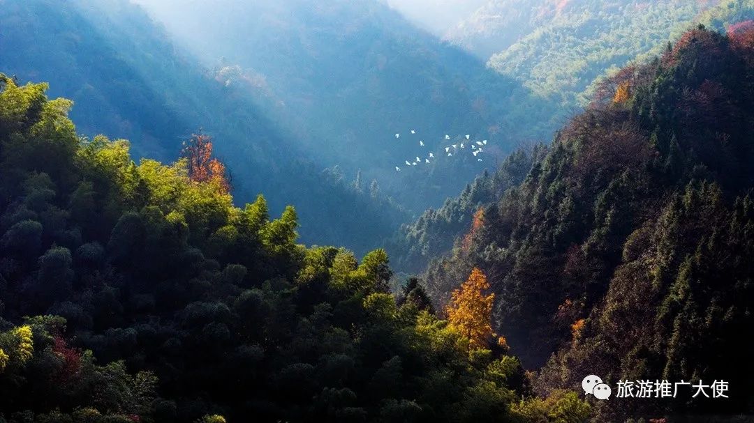 DJI_20231125091056_0010_D.jpg 图片