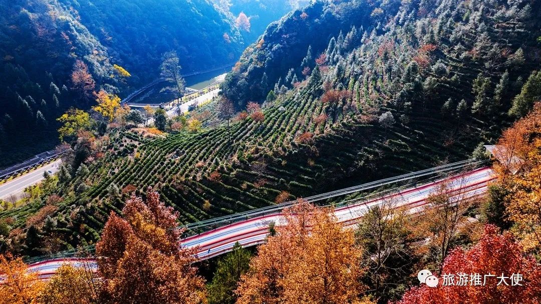 DJI_20231125102939_0124_D.jpg 图片