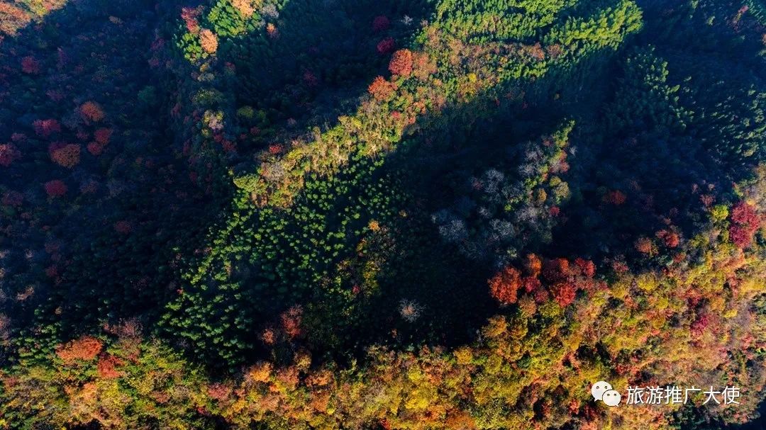 DJI_20231125091930_0031_D.jpg 图片