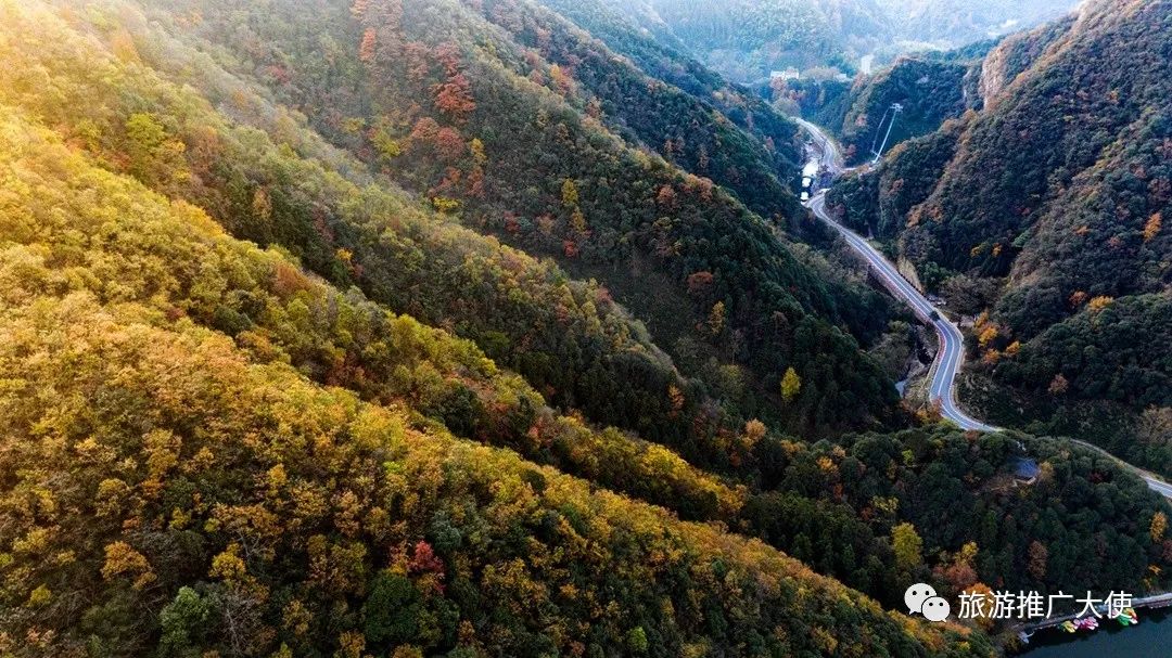 DJI_20231125074137_0017_D.jpg 图片