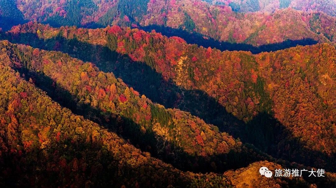 DJI_20231125073938_0015_D.jpg 图片