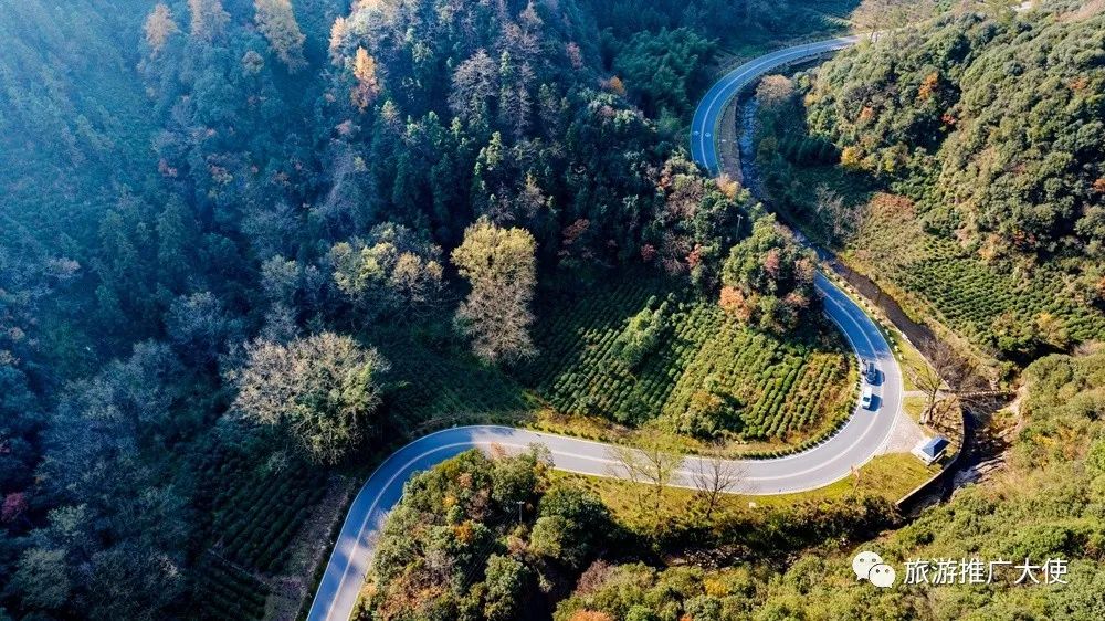 DJI_20231125101021_0101_D.jpg 图片