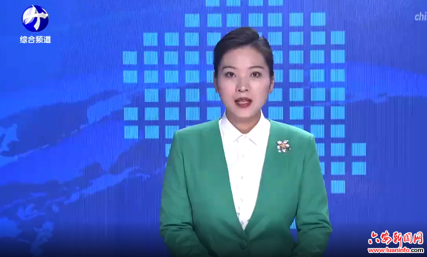 金寨：让就业“春风”吹遍老区千家万户