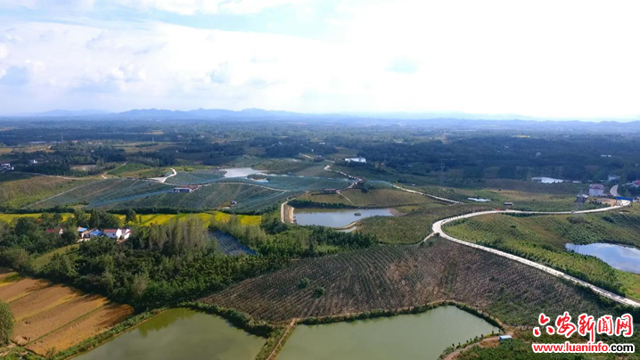 叶集区平岗街道：借力和美乡村建设，全面开启“花样”乡村的蝶变之路
