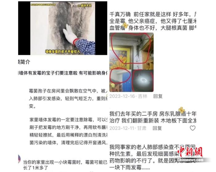 毒性是砒霜数十倍，不要忽视霉菌对身体的危害