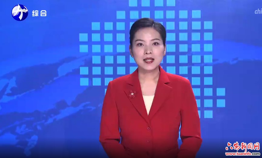 六安：以“小切口”破题 办好民生实事