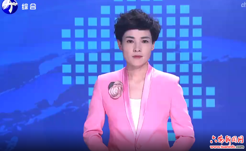 “梅绽新时代”走进金寨送文化大餐