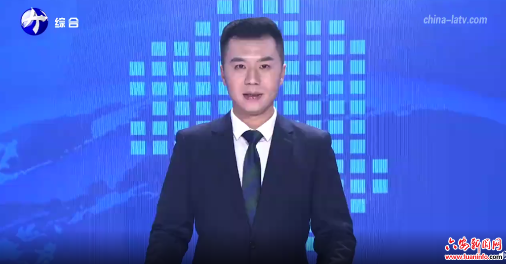 省委常委、统战部部长张西明赴舒城县走访慰问台胞台企