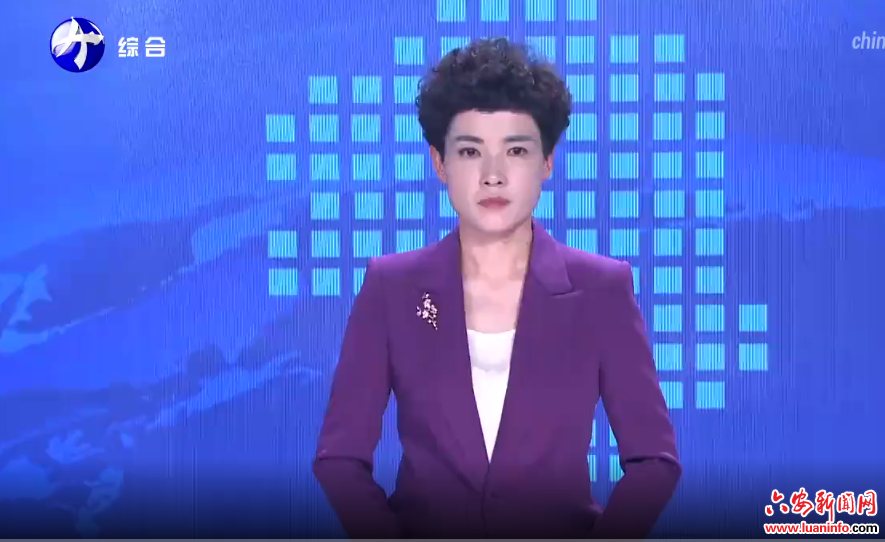 全市宣传思想文化工作会议召开