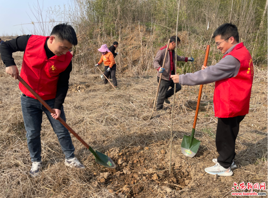 徐集镇：春风扶三月 植树正当时
