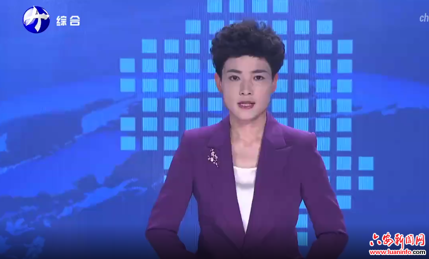 六安海关：精准服务 助企降本增效