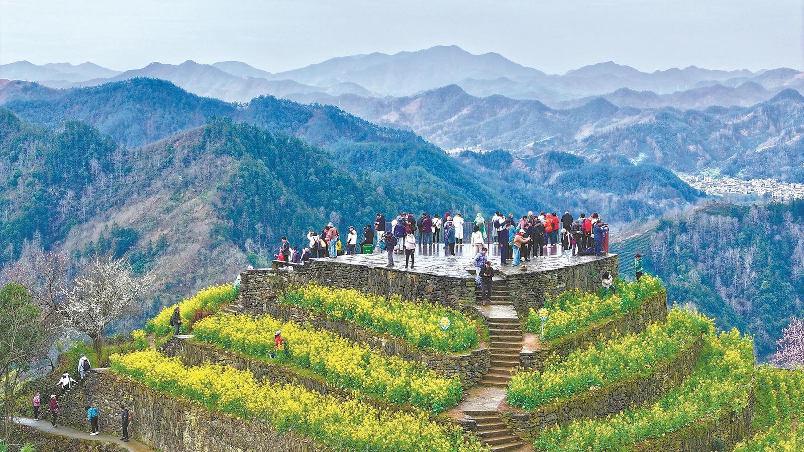 小山村如何成为赏花“打卡地”