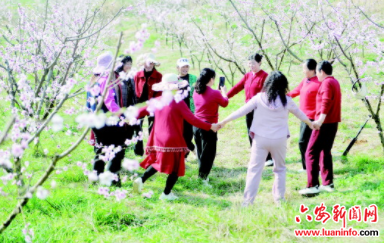 桃花盛开迎客来