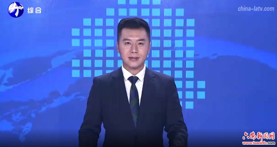 市委常委会会议强调 深入学习领会习近平总书记重要讲话指示精神 扎实做好机构改革、安全生产、巡察整改等工作