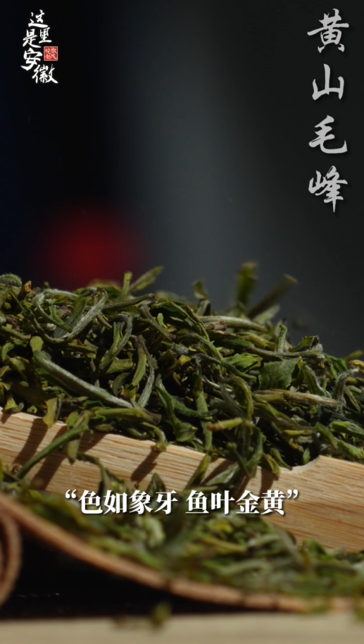 这里是安徽｜春茶季到来，安徽的名茶你喝过哪些？