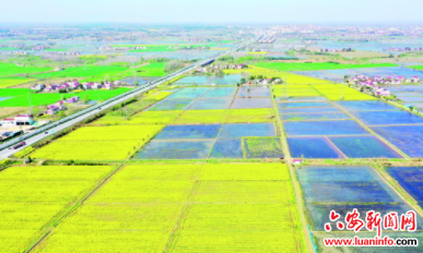 大地“调色盘”彩绘乡村美