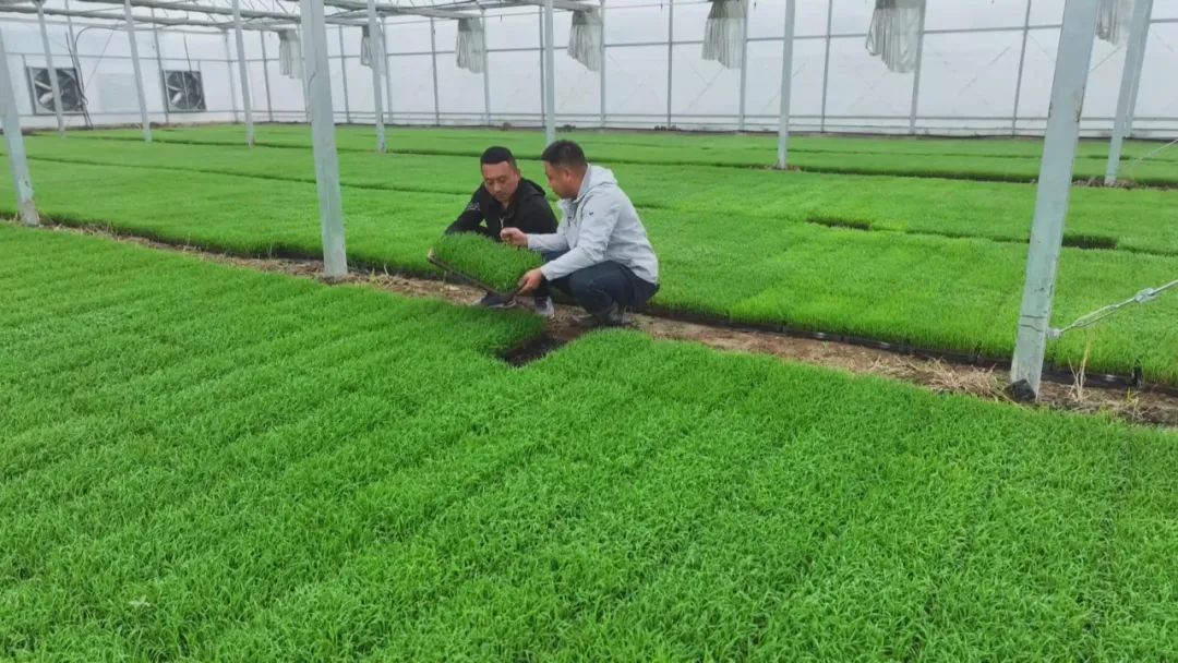 清明时节农事忙 田间奏响“春耕曲”