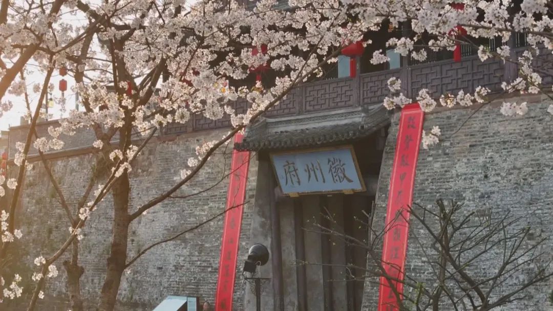 【春游江淮请您来】春色正当时 文化生态游受欢迎