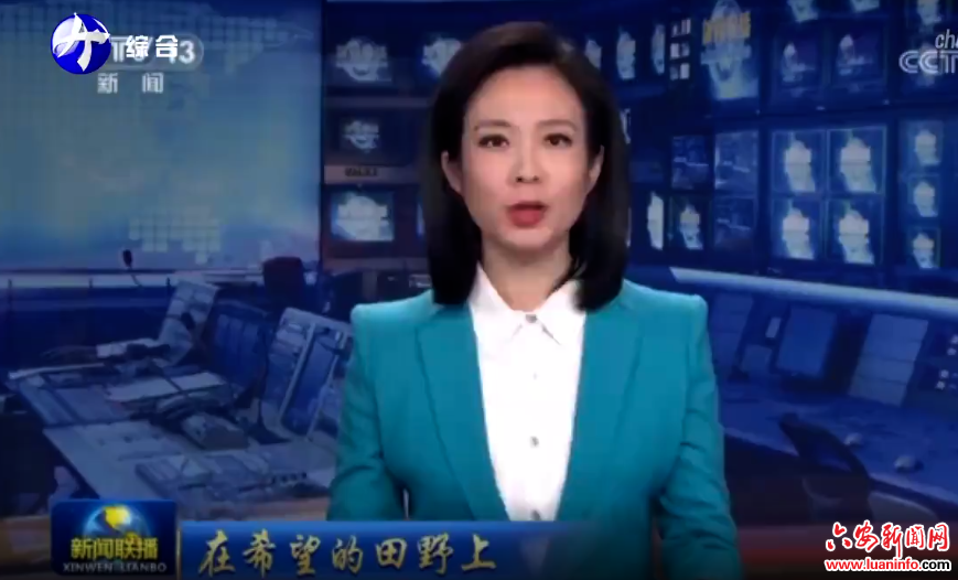 中央省级媒体看六安