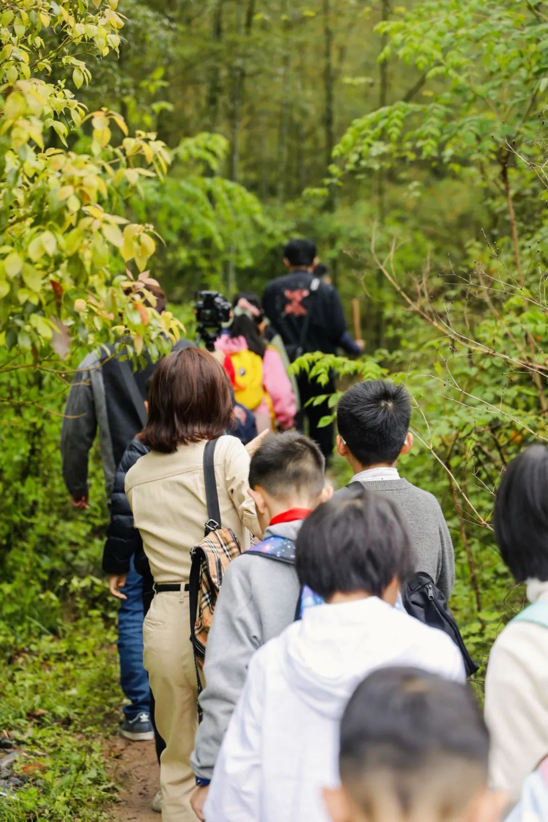 挖笋、采茶、烧竹筒饭、做竹风铃，萧山这群孩子玩“high”了！他们还带回了……